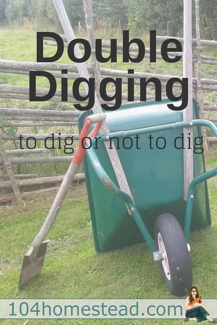 There is much debate on whether or double digging is a good idea. May big-time gardening experts say you should, other say "no way! It destroys the soil!"