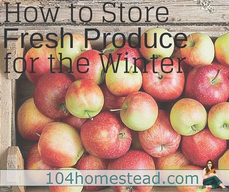 Frozen and canned produce is good, but sometimes fresh produce off-season is better. Discover how to use Fresh Storage to enjoy fresh produce year round.