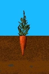 non-dug
