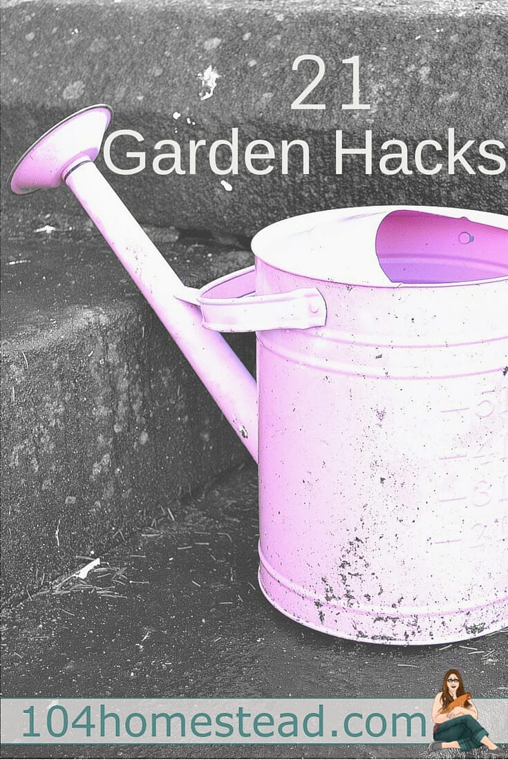 Gardening Hacks: Save money and make gardening just a bit easier with these great tips and tricks. I bet there are a few that will amaze you. Happy gardening!