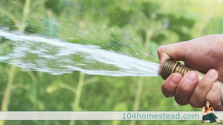 Gardening Hacks: Save money and make gardening just a bit easier with these great tips and tricks. I bet there are a few that will amaze you. Happy gardening!