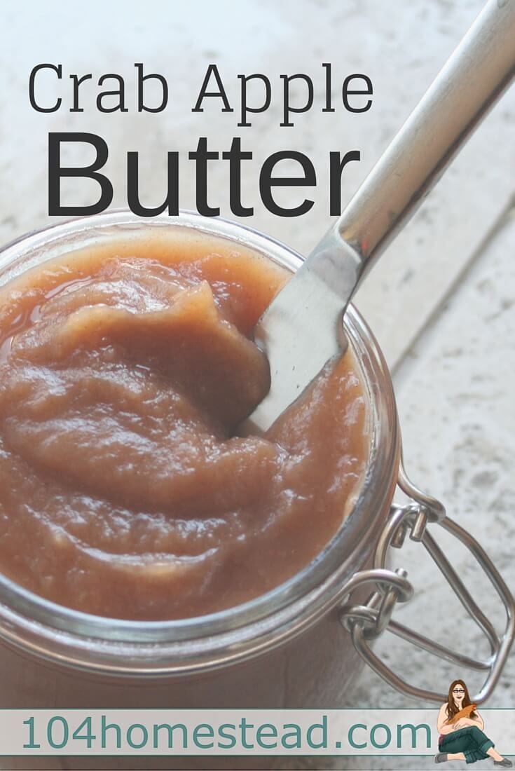 Crab apple butter is an amazing thing. It is like a thick, sweet apple sauce that is used as a condiment. It can be used in a sandwich or on toast.