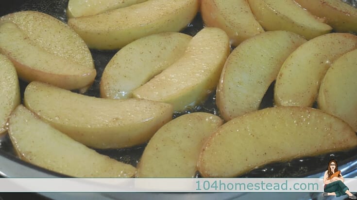 Crab apple butter is an amazing thing. It is like a thick, sweet apple sauce that is used as a condiment. It can be used in a sandwich or on toast.