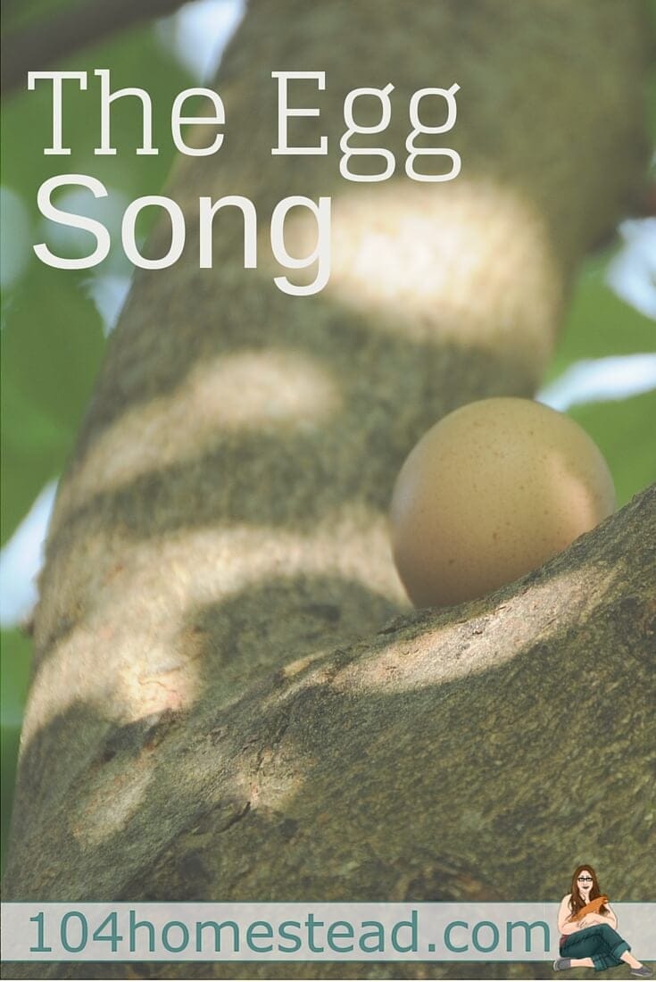 Why a hen sings after laying an egg and what the Egg Song sounds like. It will be music to your ears when you get your first chickens.