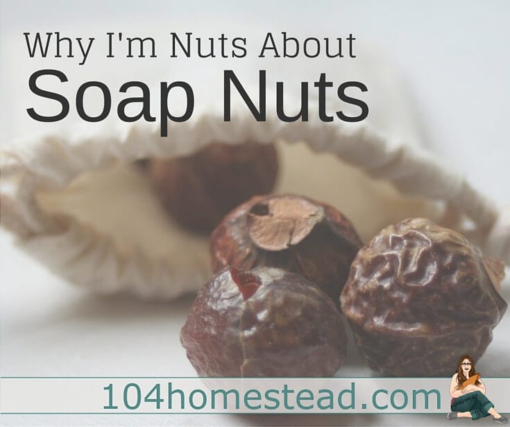 Nuts About Soap Nuts: Laundry, DIY Cleaner & More!