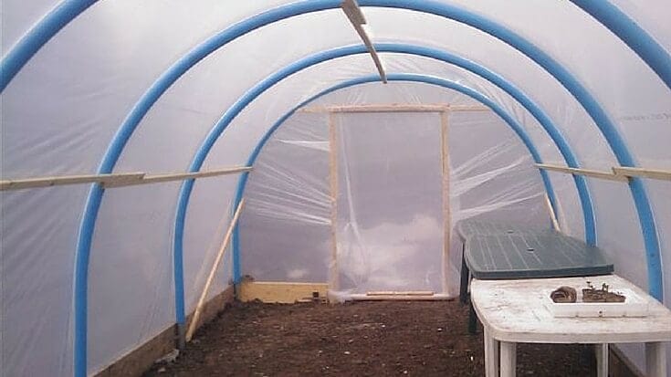 Polytunnels: Extend Your Growing Season