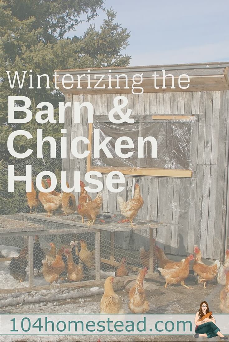 Its getting chilly with winter on the way and it's time to start thinking about winterizing the chicken house and barn. Here are great tips to get you started.