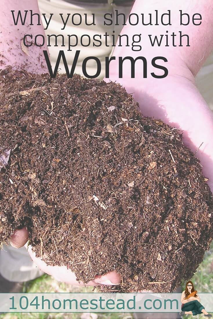 The greatest thing about vermicomposting or composting with worms is that anyone is able to do it, regardless of how much space they have.