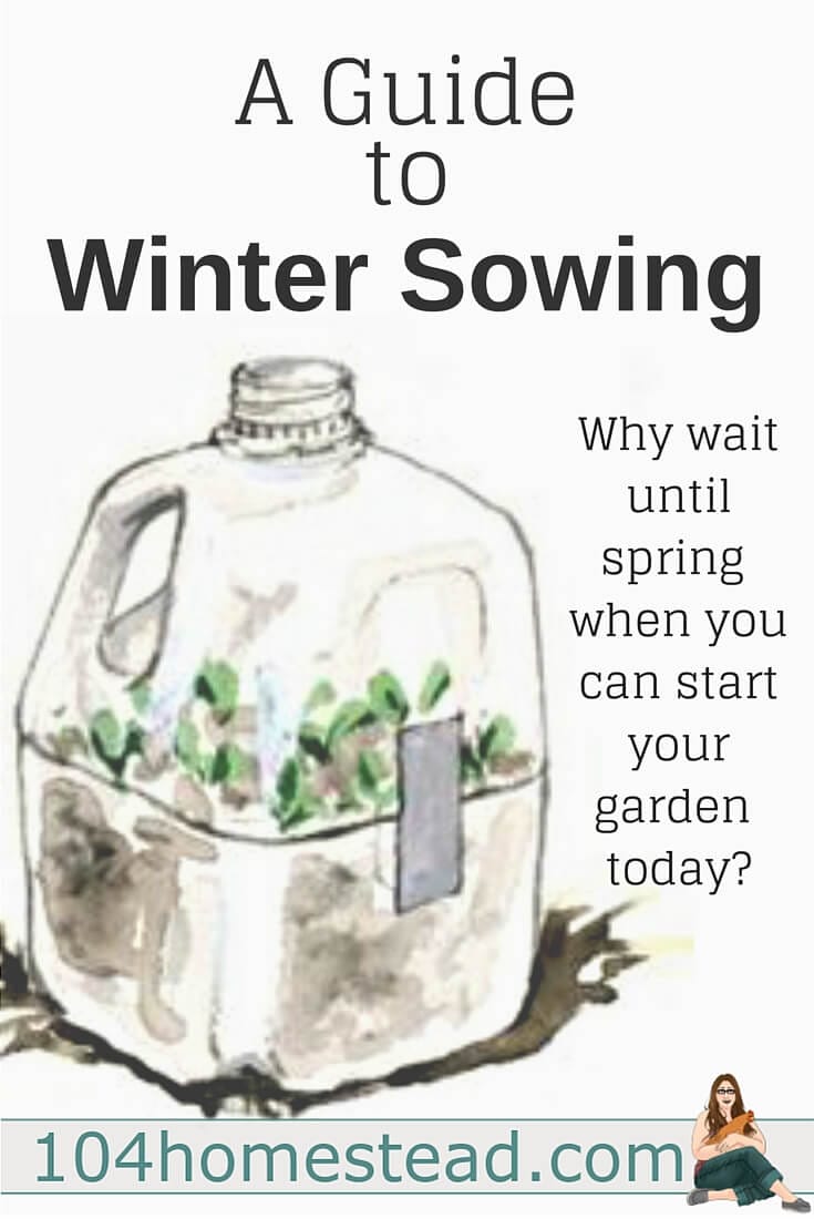 Winter sowing involves sowing the seeds outdoors in miniature greenhouses during the winter, allowing them to germinate naturally during the spring.
