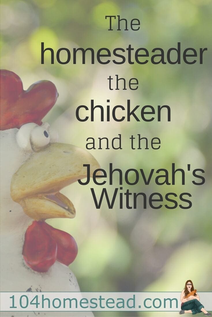 The homesteader, the chicken, and the Jehovah's Witness. A funny homesteading story, because you can't make this stuff up.