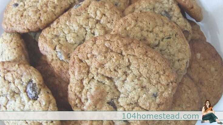 Breakfast cookies are, of course, always a big hit with kids. With applesauce and flax seed, the kiddos have no clue that what they're chowing down on is H-E-A-L-T-H-Y.