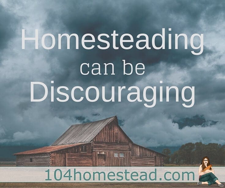 Struggles: Because Homesteading Can Be Discouraging