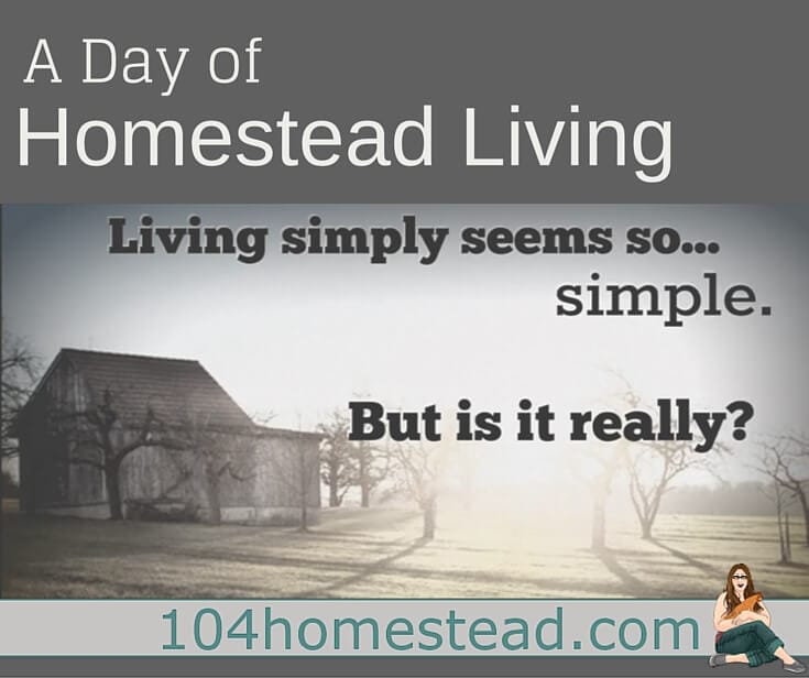 Often you see bloggers glorifying homestead living. I mean... simple living. How hard can it be to live simply? Maybe harder than you may think.