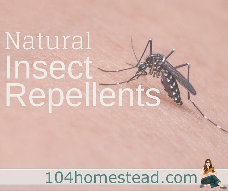 A list of natural repellents that work on a wide array of insects in a variety of situations. Also included are great natural "after bite" solutions.