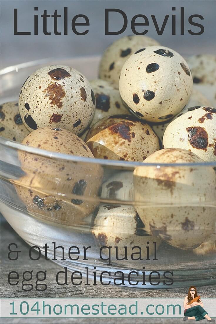 Discover how to make "Little Devil" deviled quail eggs as well as other recipes made just for these tiny eggs. The rich flavors will have you begging for more.