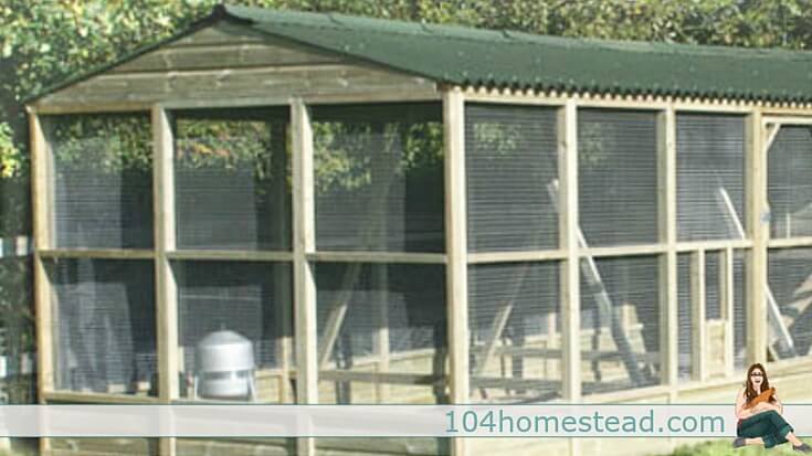 Depending on where you live, any number of these predators may pose a problem for your flock. However, there are a number of ways to protect your chickens from the creatures.