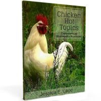 Chicken Hot Topics discusses some of the backyard chicken owner's most controversial subjects and it lays out the facts so you can decide what is right for you and your flock.