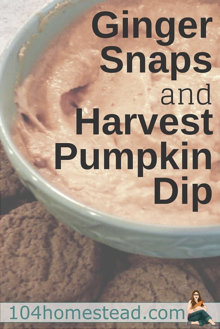 This pumpkin dip turns ginger snaps into tiny little bites of pumpkin pie. It is beyond delicious and incredibly easy to make.