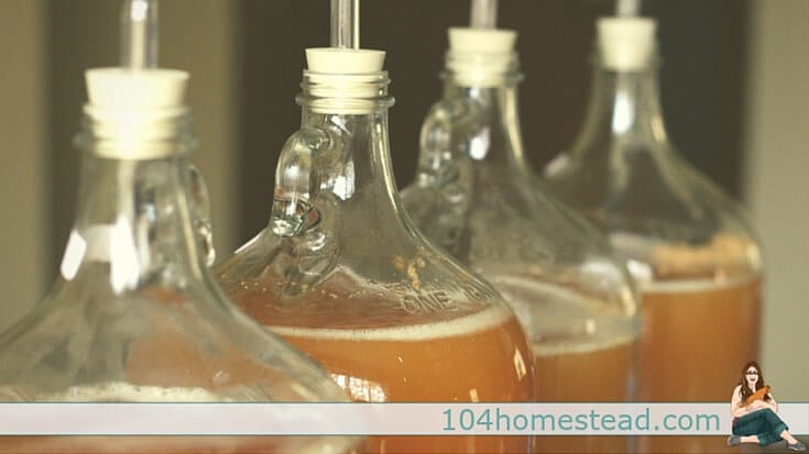 Learn to make hard apple cider at home. It's both easy to make and delicious. You can customize your flavors with the apples and sugars that you use.
