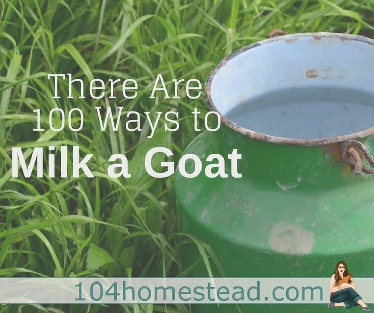 It's not easy, but I'm here to tell you, it's not hard either. You just have to figure out which of the 100s of ways to milk a goat works best for you.