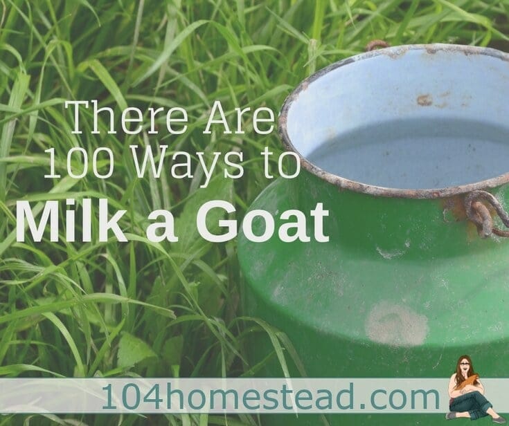 There Are 100 Ways to Milk a Goat – Find the Right Way for You