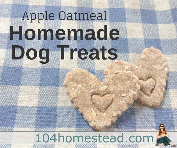 Apple Oatmeal Homemade Dog Treats