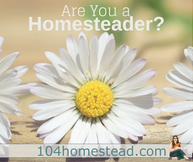 Homegrown & Handmade: Are you a homesteader?