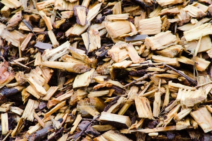 A smattering of wood chips in various sizes and shapes.