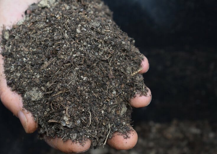 A hand holding dark soil with bits of organic matter in various states of decay.