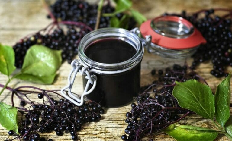 Elderberry Syrup: A Delicious Guide To Making Your Own