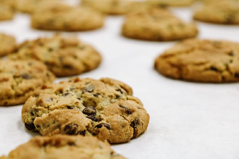 Chocolate chip cookies fresh out of the oven.