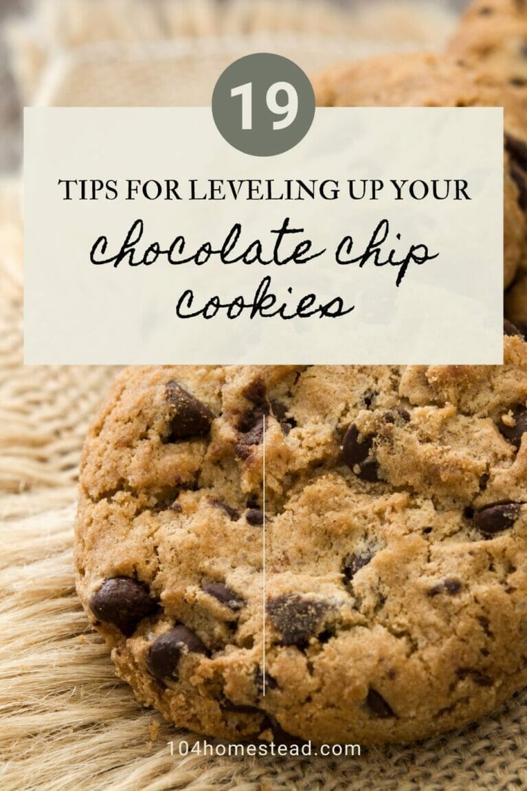 A pinterest-friendly image to promote chocolate chip cookie baking tips and tricks.