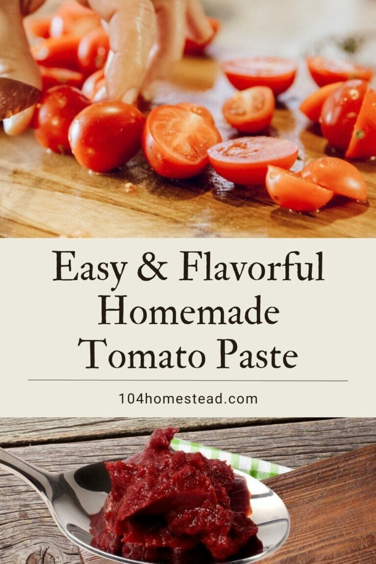 A Pinterest-friendly photo promoting this tomato paste recipe.