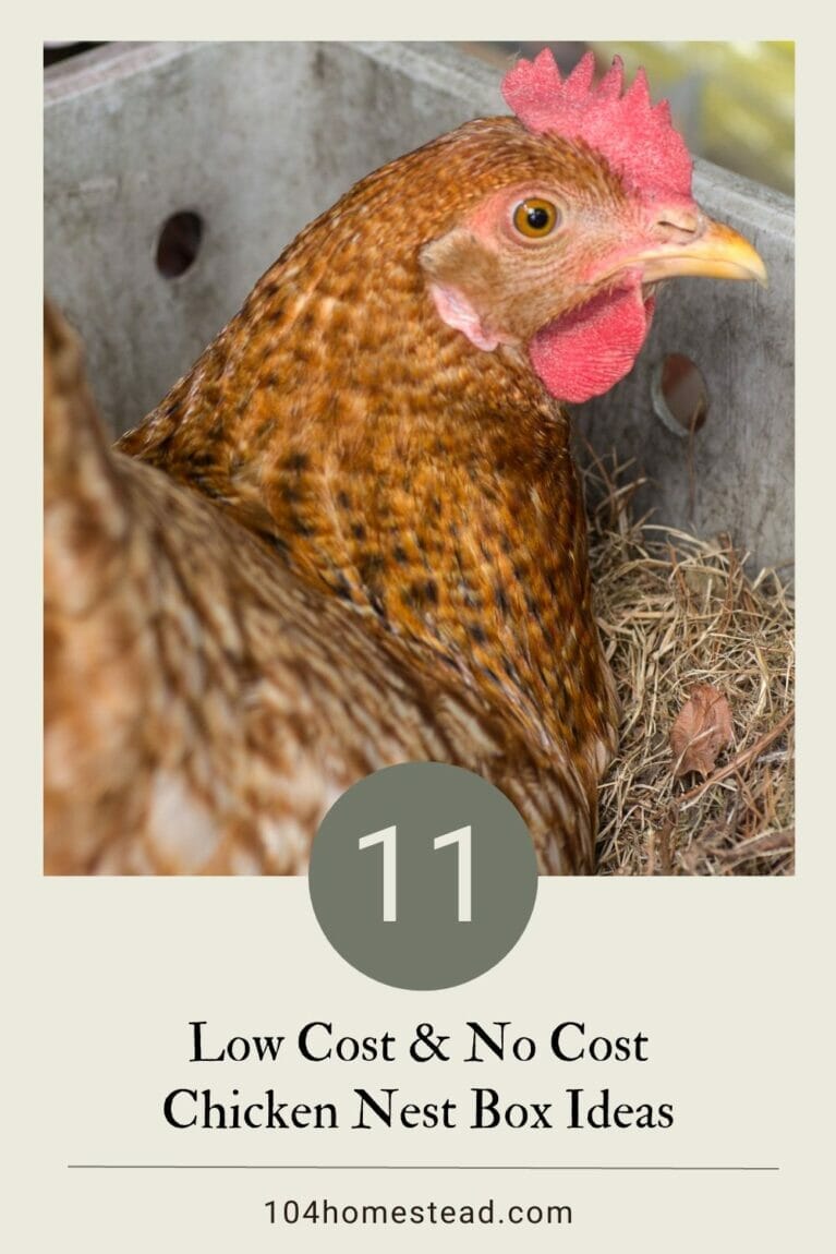 A pinterest-friendly graphic for DIY chicken nest boxes.
