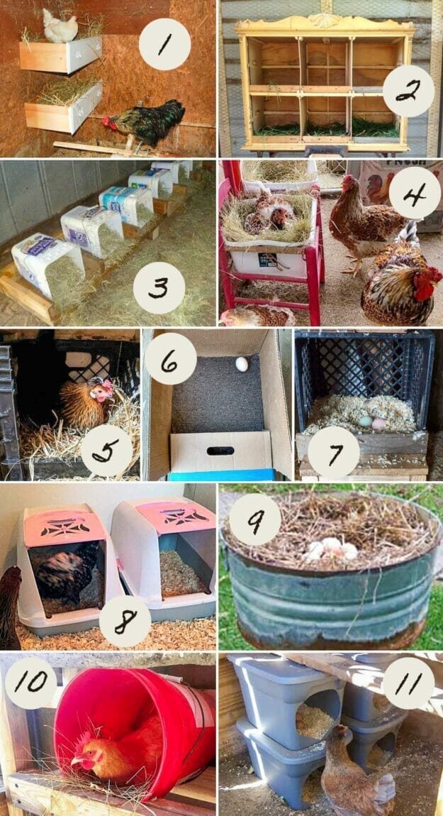 A grid of 11 diy nest box ideas.