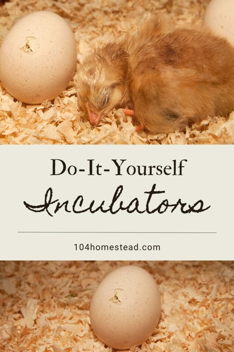 A pinterest-friendly graphic promoting homemade incubator ideas.