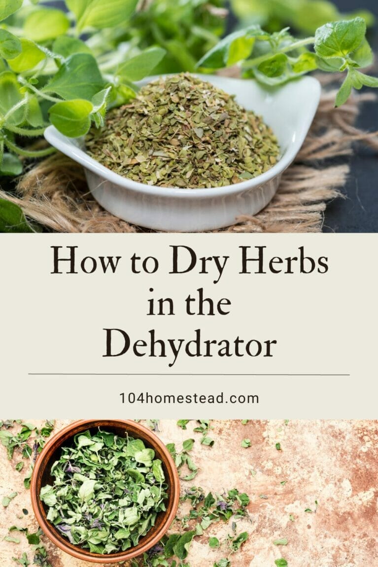 A pinterest-friendly graphic promoting drying herbs with a dehydrator.