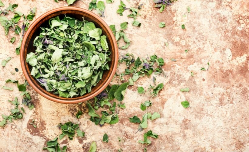 Oregano leaves in a bowl before drying.