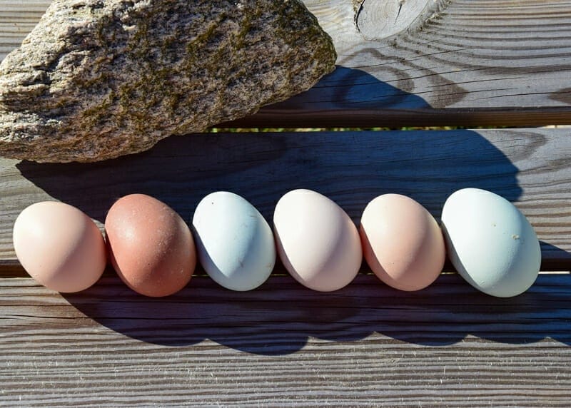 A line of eggs in assorted colors on a picnic table.