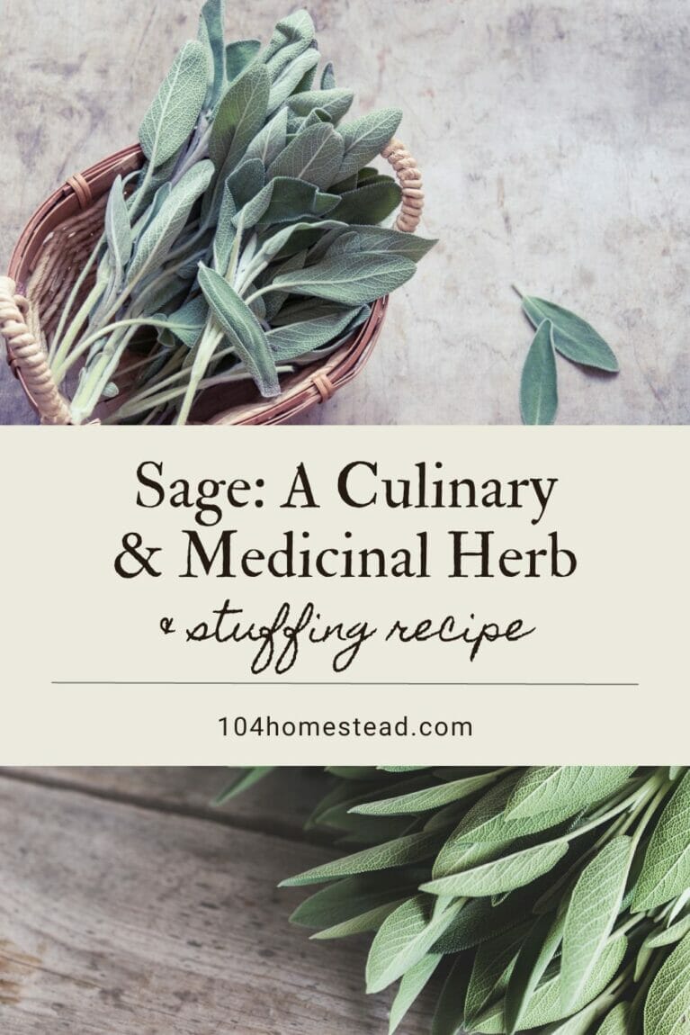 A pinterest-friendly graphic about why you should grow sage.