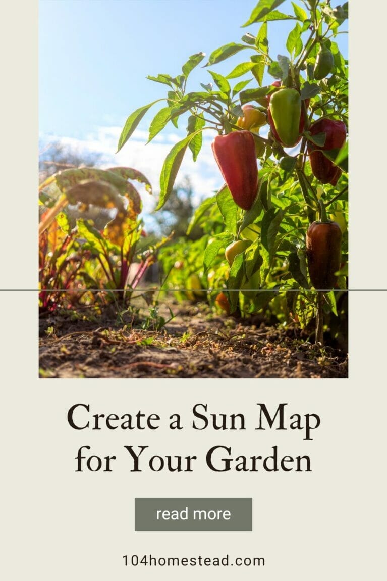 A pinterest-friendly image promoting creating a sun map for your vegetable garden.