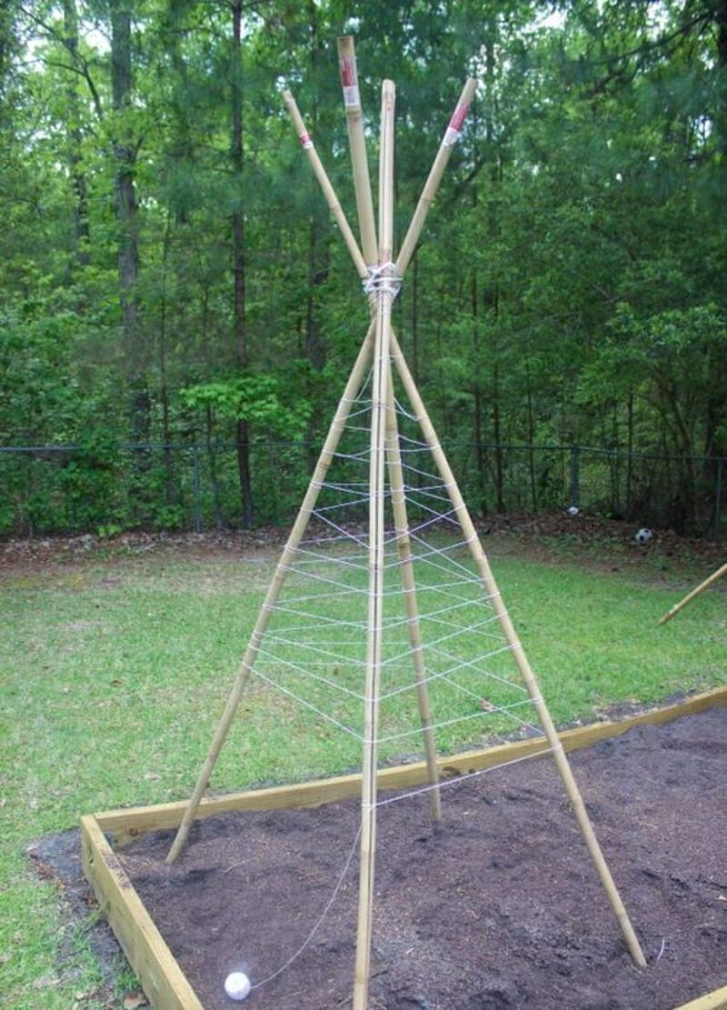 A teepee trellis made of bamboo poles and twine.