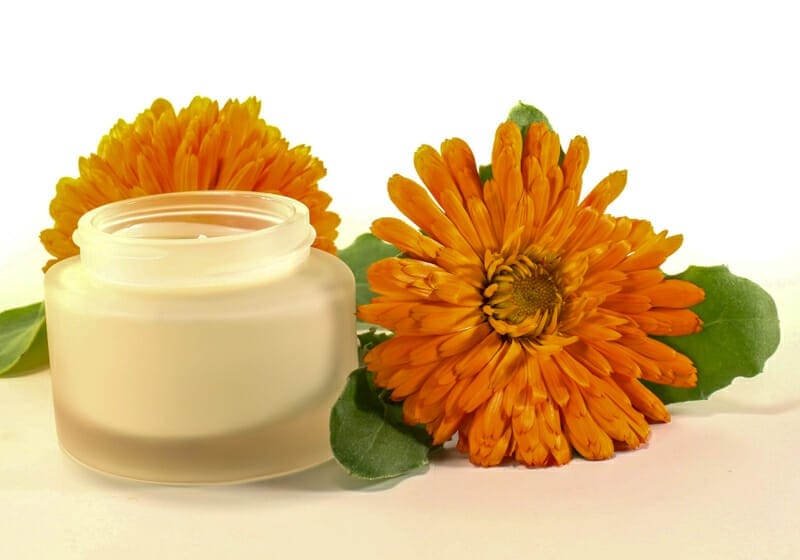 Calendula salve in a glass container with two calendula flowers around the jar.