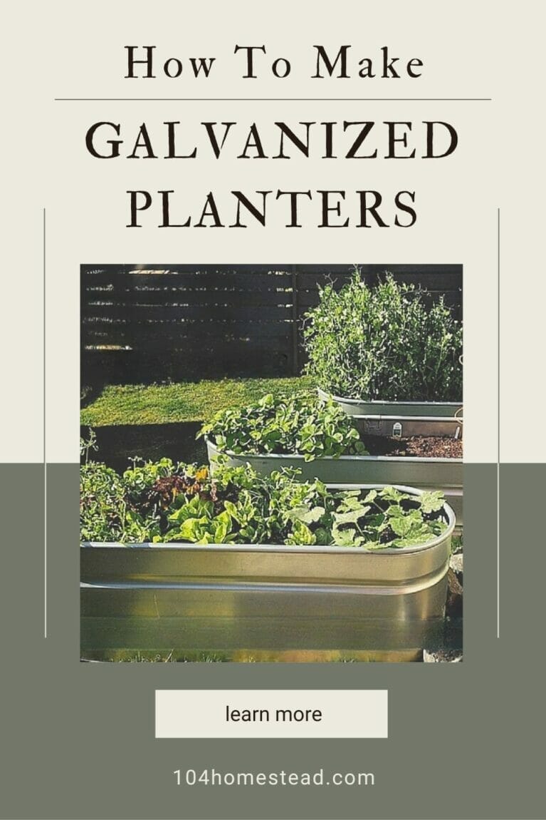 A pinterest-friendly graphic for how to make galvanized planters.
