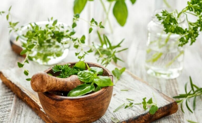 How to Store Herbs for Culinary & Medicinal Purposes