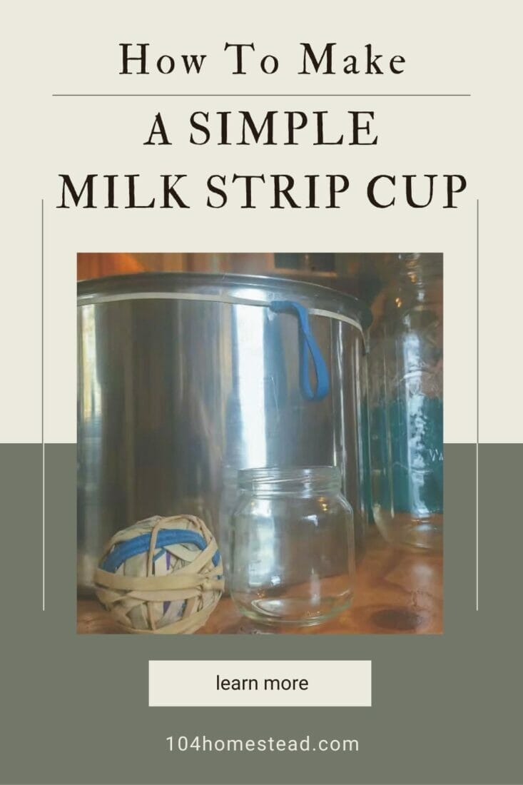 A pinterest-friendly graphic for my DIY strip cup idea.