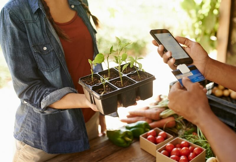 Buying seedlings at the farmers' market with food stamps.