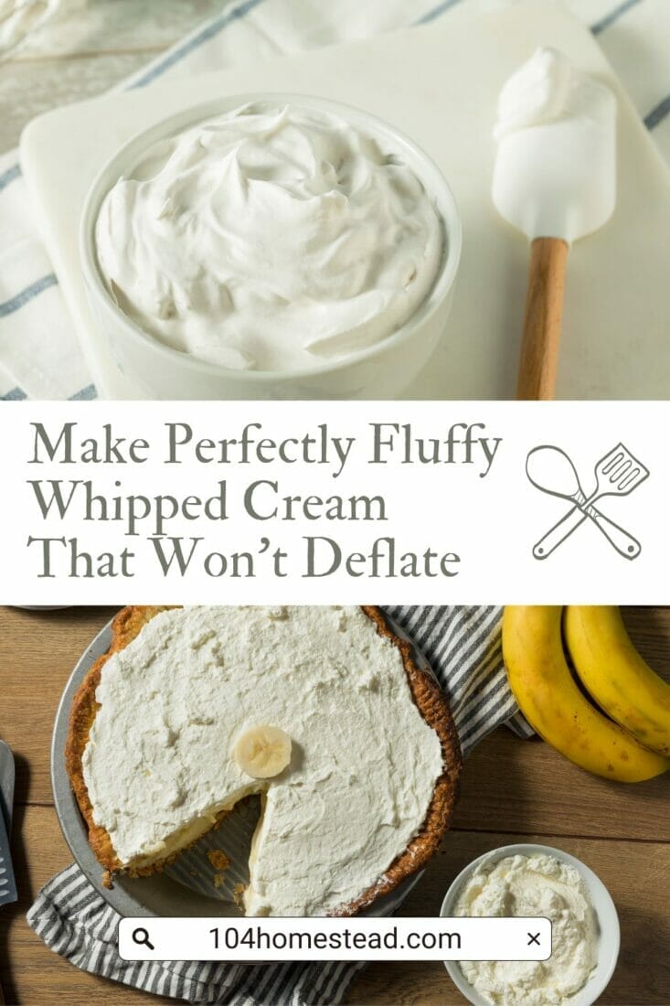 A pinterest-friendly graphic for my homemade whipped cream recipe.