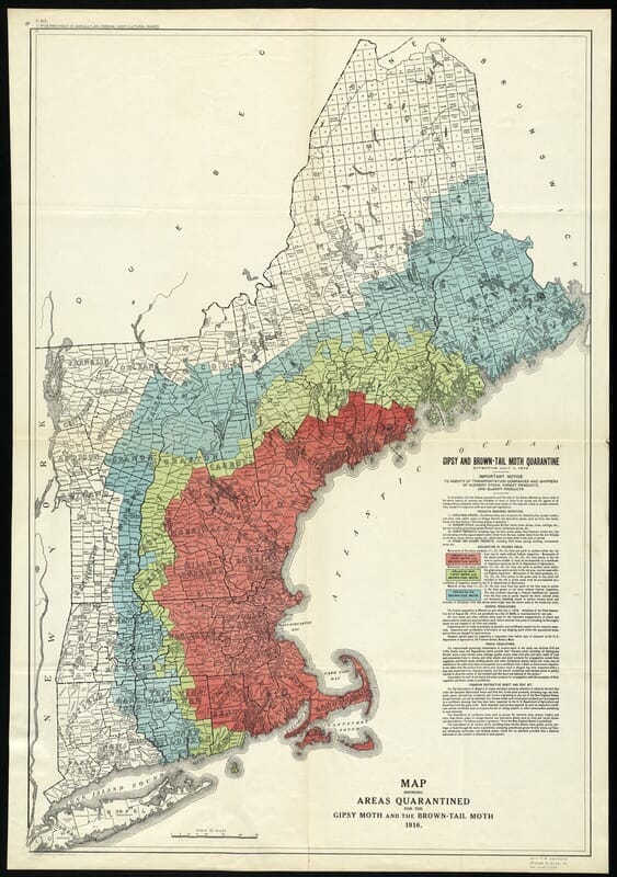 A map of Maine's brown tail moth territory.